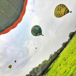 Vitrips Pensión